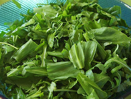 Πράσινη σαλάτα